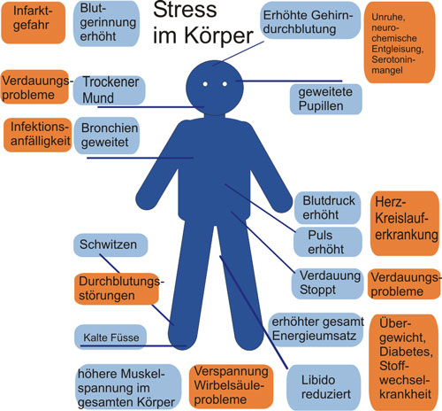gezeichnetes Körperschema das vegetative Symptome aufzählt